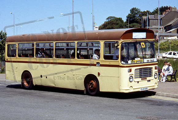 Jones of Newchurch OJD54R PB696