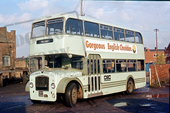 Green Bus 504BRM