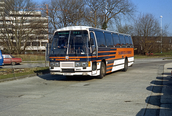 Shamrock & Rambler BPR101Y 184