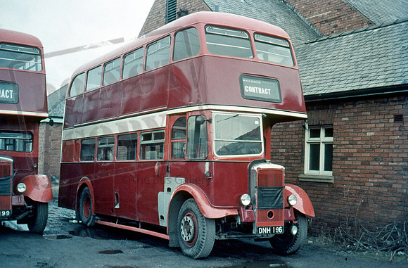 Scarlet Band DNH196