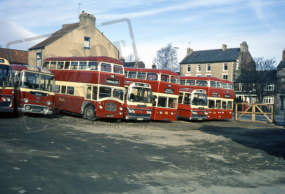 OK Motor Services line up at Bishop Auckland 4/76
