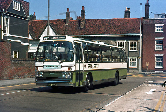 Grey Green VLB662M Colchester