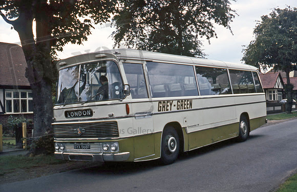 Grey Green SYX568F