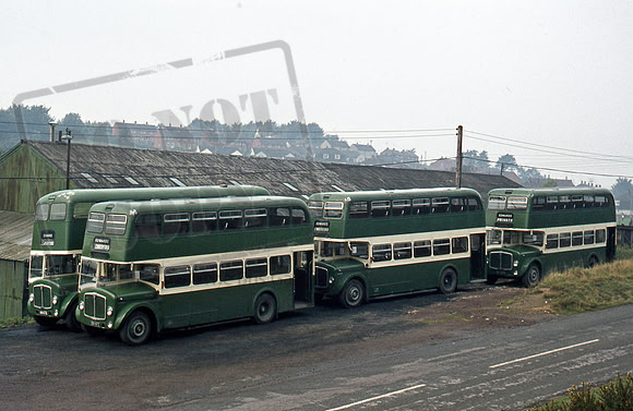 A line up of deckers at Edwards depot at Joys Green