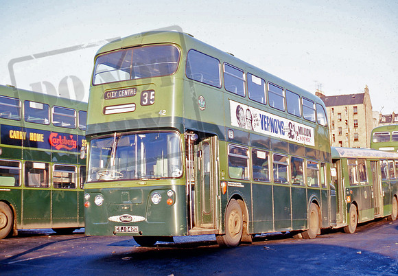 Dundee CYJ842D PB1174