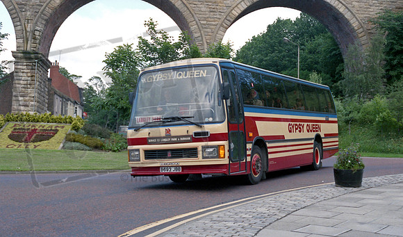 Gypsy Queen B693JBB Durham RP61 87 039