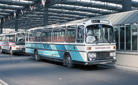 Northern Rose UWR772R Bradford RP65 87 014