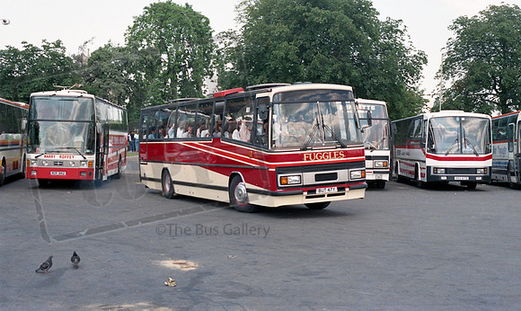 Fuggle BUT47Y Canterbury RP73 87 006