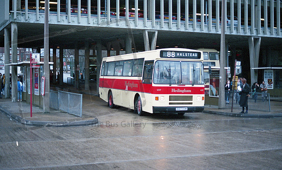 Hedingham D137XVW Colchester RP88 88 009