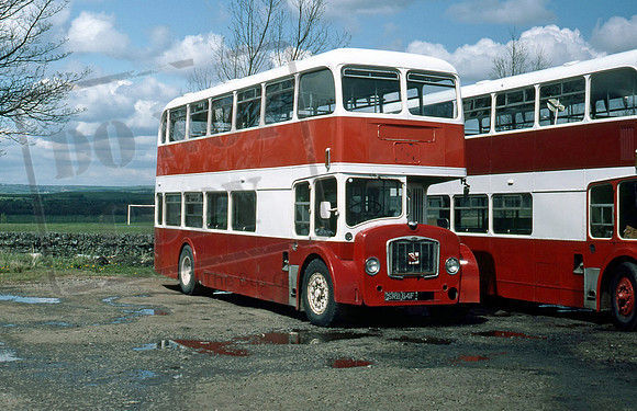 Wilson SRB64F PB586