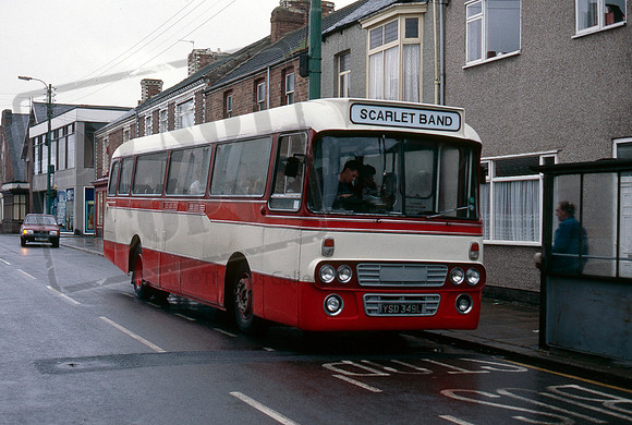 Scarlet Band YSD349L 1988