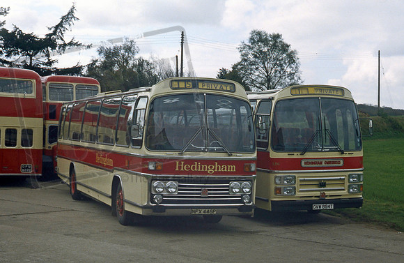 Hedingham NFX446P Sible Hedingham 1981