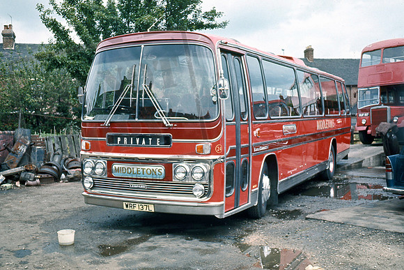 Middletons WRF137L 773