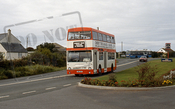 Cherry Tree GHV2N 9/91