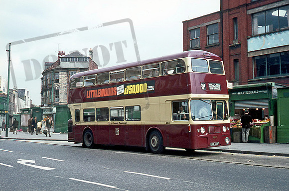 Cardiff JKG482F