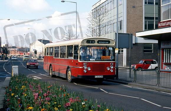 Lamberts RTB809M Rotherham 491 NH91s2