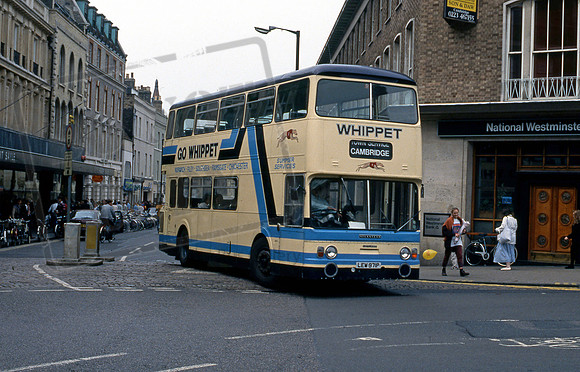 Whippet LEW971P Cambridge 691 NH91s3
