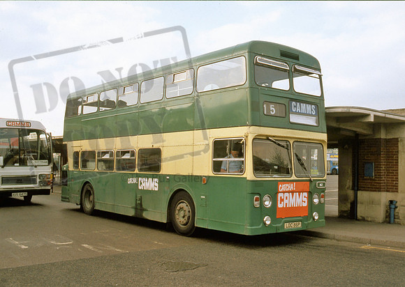 Camm LDC86P Derby 589