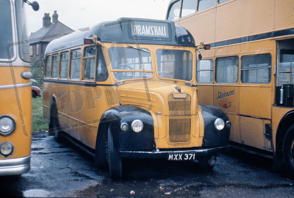 Stevensons MXX371 Spath