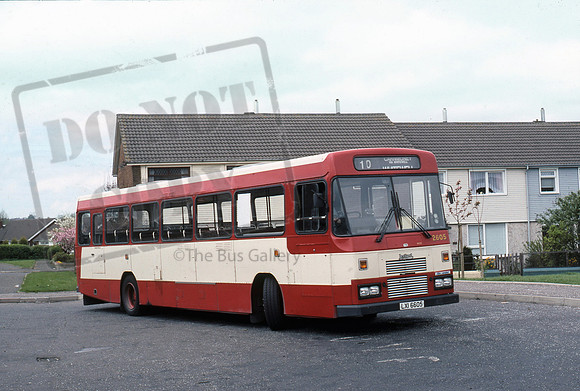 Belfast Citybus LXI6605 Carnmoney 290490