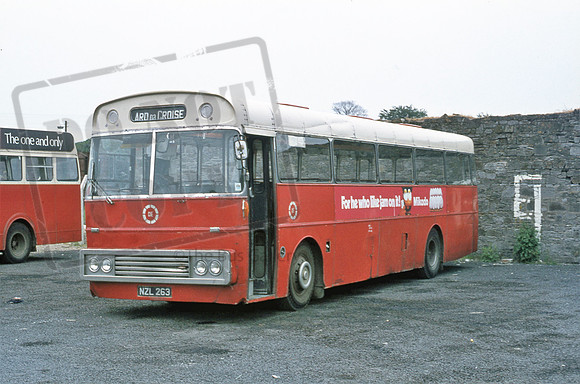 CIE NZL263