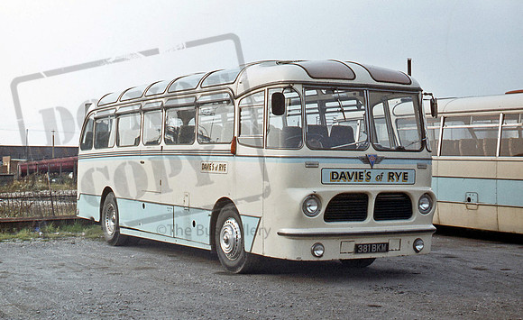 Davie of Rye 381BKM