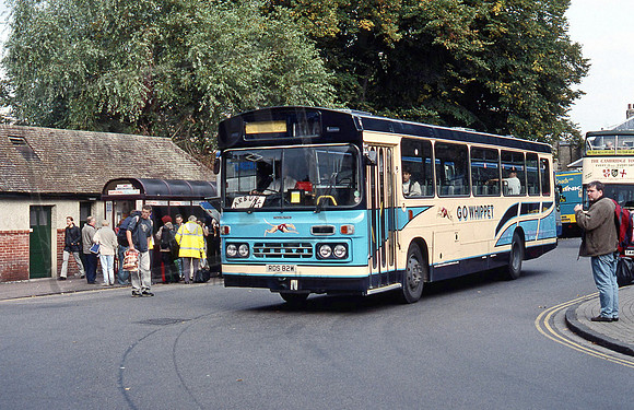 Whippet of Fenstanton RDS82W Cambridge 10/01