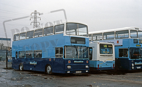 Bluebird D683MHS 399
