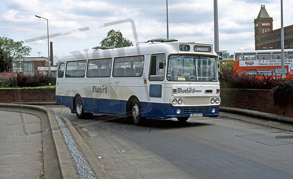 Bluebird LBU607V 894
