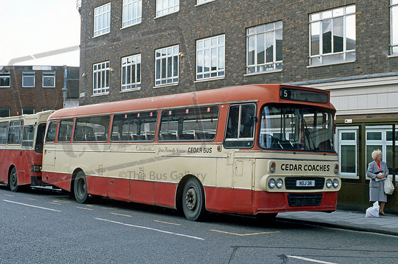 Cedar NSJ3R Bedford 1095