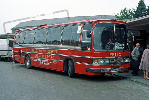 Felix BRR684T Derby 786