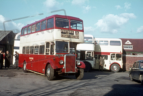 Fosters FEV178