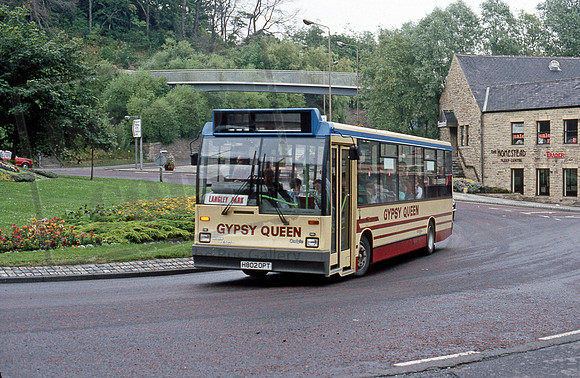 Gypsey Queen H802OPT Durham 791