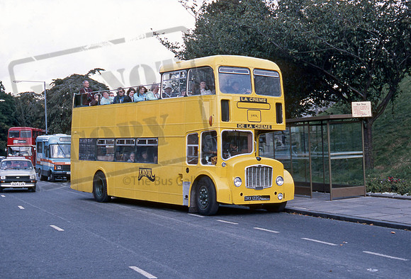 Jorvik DRX122C York 988