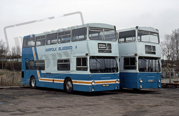 Norfolk Bluebird THM712M THM704M 485