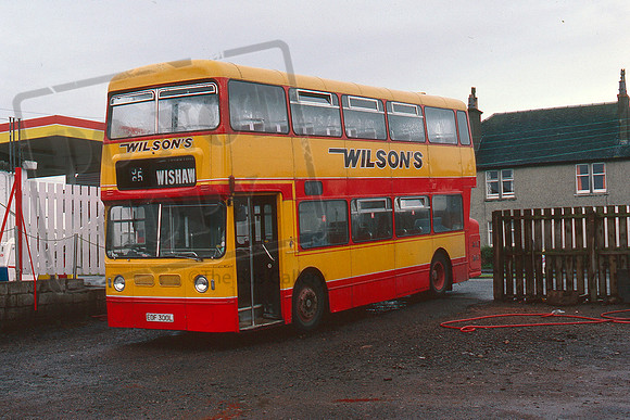 Wilsons EOF300L 88