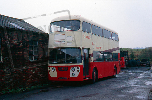 Scarlet Band JSC855E
