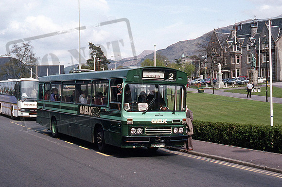 Gaelic ESU425T PB492