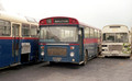 Brutonian 29 STC929G Bruton RP2 120486