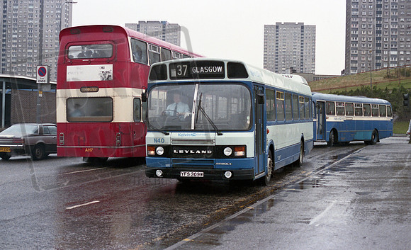 Kelvin YFS309W Glasgow RP15 210486 004