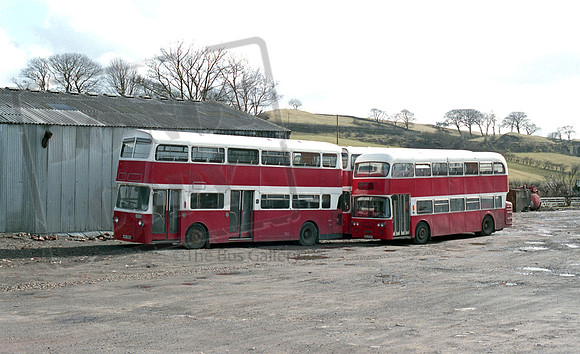 Henry Crawford UKA582H PAG762H Neilston RP12 200486 038
