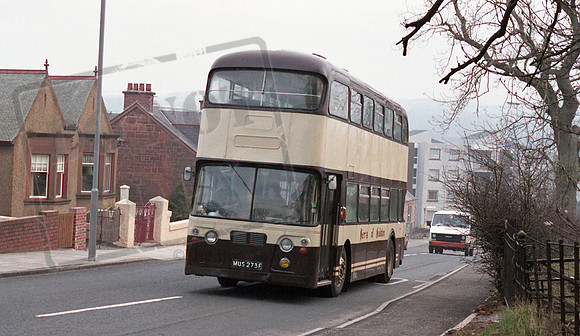 Kerr MUS273F Galston RP15 220486 037