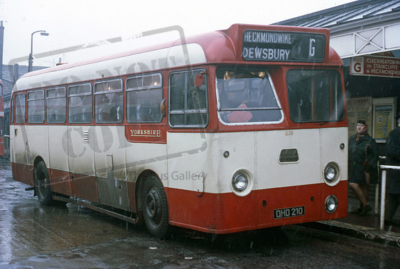 Yorkshire Woollen DHD210 0170