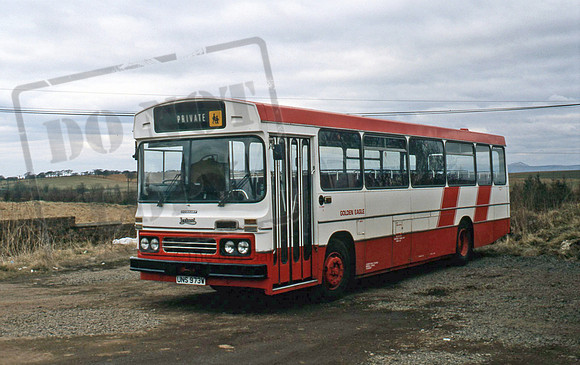 Golden Eagle UNS973W PB496