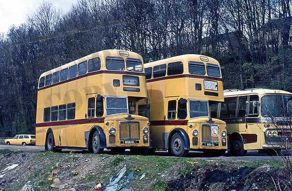 Bournemouth Transport 8156EL