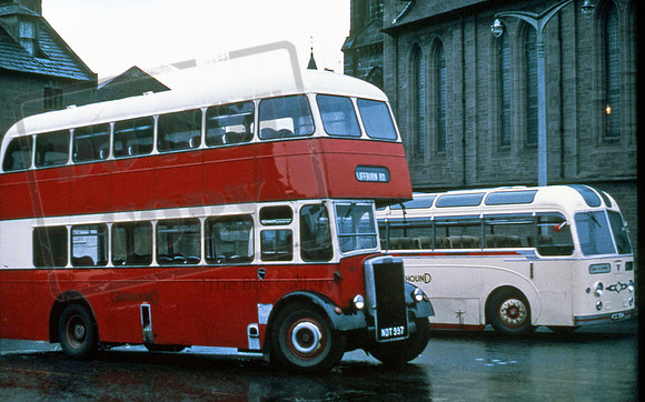 Greyhound NDT997 PB