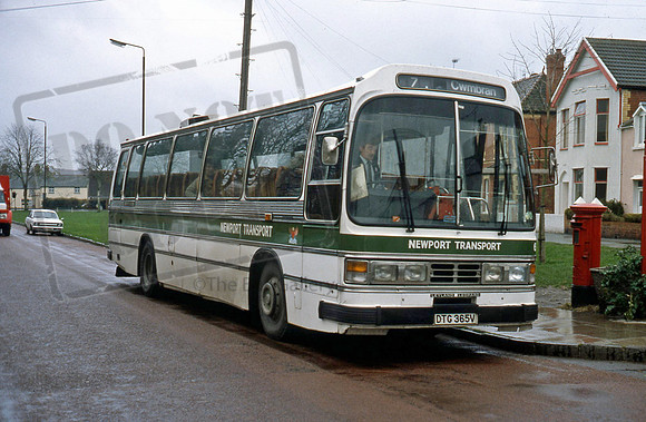 Newport DTG365V 11/82