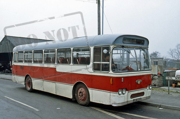 Eynon of Trimsaren LBX550G at Trimsaren PB384