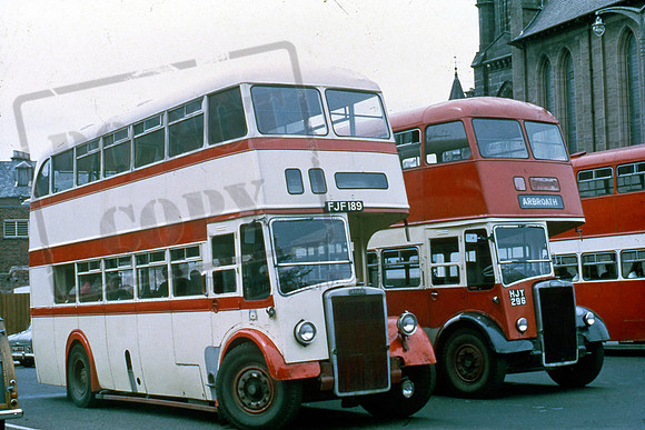 Greyhound FJF189 PB