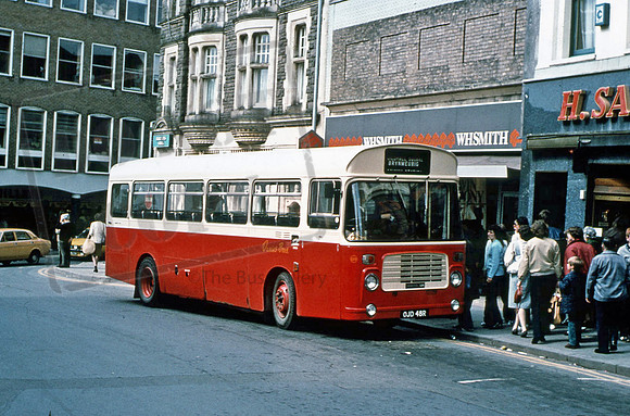 Davies of Pencader OJD48R 584